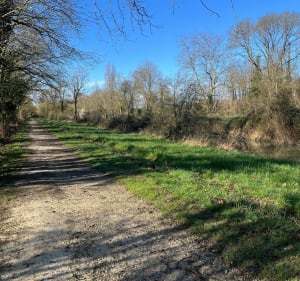 Balade autour de Saint-Agnant et Canal de la Charente - Saint-Agnant - 3