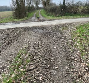 Parcours au cœur de la campagne au dessus de Dixmé - Saint-Varent - 3
