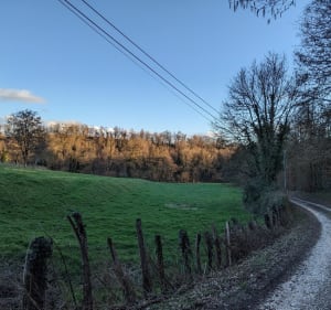 Sentier nature à La Bâtie-Montgascon - La Bâtie-Montgascon - 3