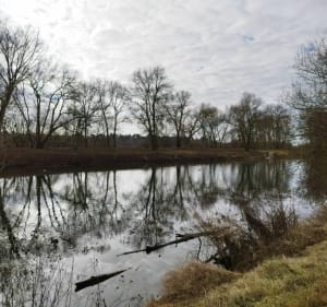 Bord de Loire - De St-Ay aux abords de Meung-sur-Loire - Saint-Ay - 5