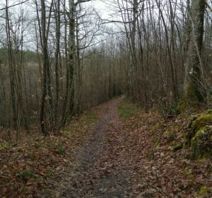 Sentier de Sivens et Combe del Loup - Lisle-sur-Tarn - 3