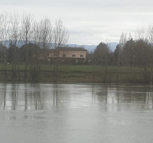 Villages dans l'Ain et bord de Saône - Fareins - 3