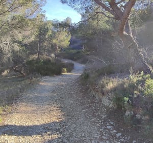 La Roselière des Tamaris - Martigues - 3