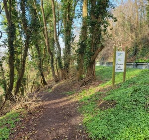 Balade entre Bonsecours et Darnétal - Le Mesnil-Esnard - 3