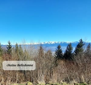 Seyssinet - Saint Nizier par voie de tram en boucle - Seyssinet-Pariset - 3
