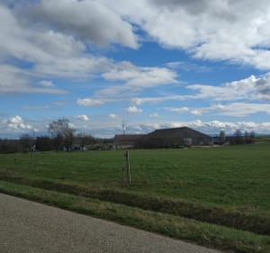Entre routes et chemins à la découverte de 3 villages. - Gœrsdorf - 3