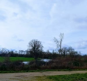 Balade entre forêt des Chazeaux et plaine - Pesmes - 3