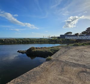 Balade entre Mèze et Loupian - Mèze - 3