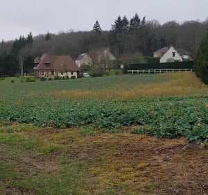 La mini balade de Berville-en-Roumois - Les Monts du Roumois - 3