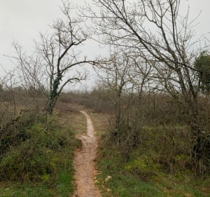 Chemins de traverse au plateau de Chenôve - Chenôve - 3