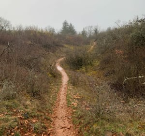 Chemins de traverse au plateau de Chenôve - Chenôve - 4