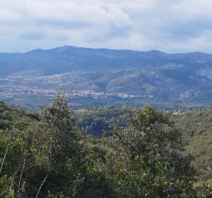 La Boissière et sa balade nature - La Boissiere - 3