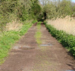 Entre terre et eau le long du Canal D'Aire - Beuvry - 3