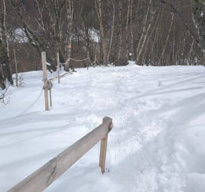Balade dans les Bois de Bédourède - Gouaux-de-Larboust - 3