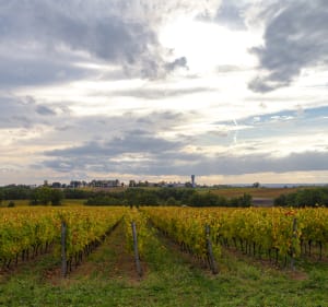 Vallée du Tarn à vélo, Montans à Albi (Jour 2) - Montans - 3