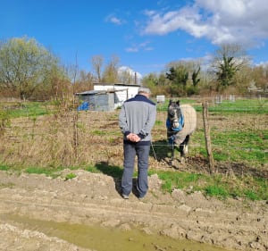 Randonnée pédestre de Conflans-sur-Seine à Marcilly-sur-Seine - Conflans-sur-Seine - 3