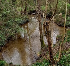 Sentier des Romains à la réserve du Courlis - Gerstheim - 3