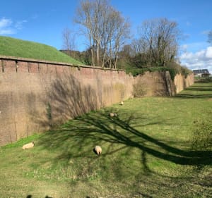 Autour des jardins suspendus. - Le Havre - 4