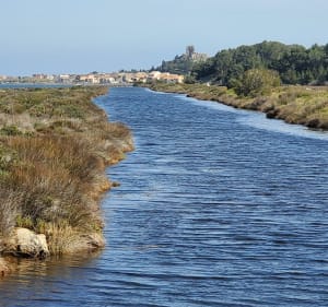 Tour de l'étang de Gruissan - Gruissan - 5