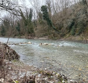 Sentier du pêcheur depuis Frangy - Frangy - 5