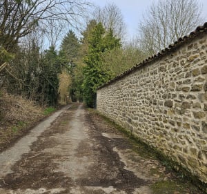 Allamps vers les sources - Allamps - 3