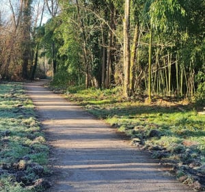 Balade VTT rive du Gave - Nay - 3