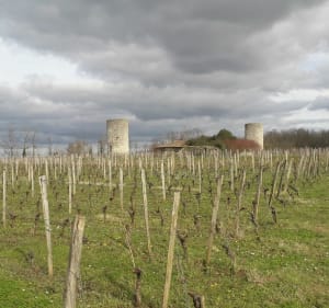 Villegouge par St-Aignan, Vincent et Bel-Air - Bruno - 3