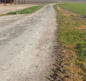 Trignac champêtre, par la Gondonnière - Semussac - 3