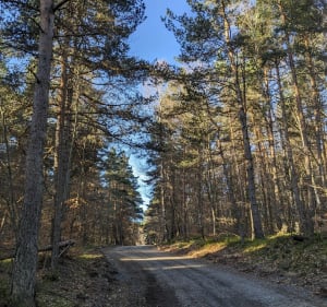Le Puy de Tuile à Deux-Verges - Deux-Verges - 3