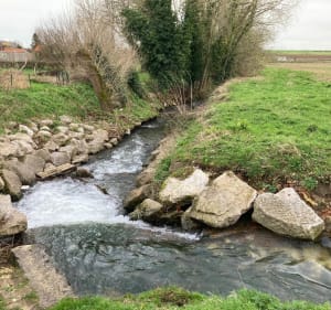 Bourecq et ses cours d’eau - Bourecq - 4