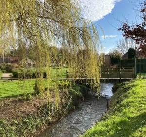 Bourecq et ses cours d’eau - Bourecq - 5