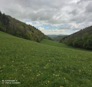 Randonnée des Allymes sur les hauteurs d'Ambérieu - Ambérieu-en-Bugey - 4