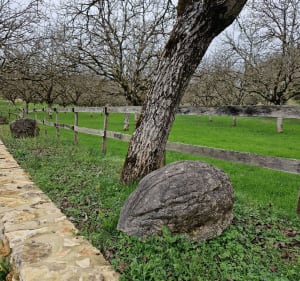 Les bois de Castellenaud et son chateau - Castelnaud-la-Chapelle - 3