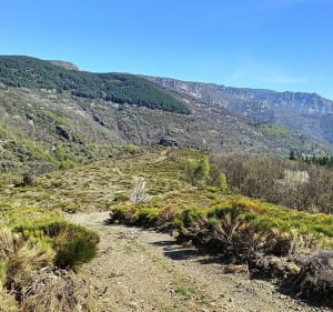 Randonnée au crêtes du Ventalon, par Soleyrols - Ventalon en Cévennes - 3
