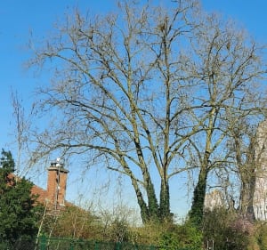 Tour du bois de Vincennes à partir d'Ivry - Ivry-sur-Seine - 3