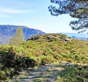 Randonnée au crêtes du Ventalon, par Soleyrols - Ventalon en Cévennes - 5