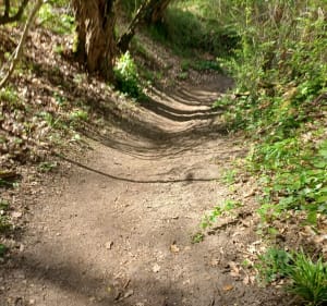 Boucle par les hauteurs de Lacroix Falgarde et le long de L'Ariège - Lacroix-Falgarde - 3