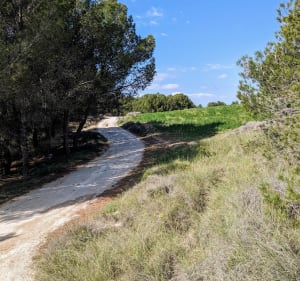 Paseo de los Amapolas y de Poza de Los Moros - Peralta - 4