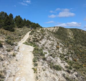 Paseo de los Amapolas y de Poza de Los Moros - Peralta - 5