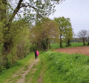 Du moulin d'âne à Chantemerle, via le chemin des pêcheurs - Niort - 5