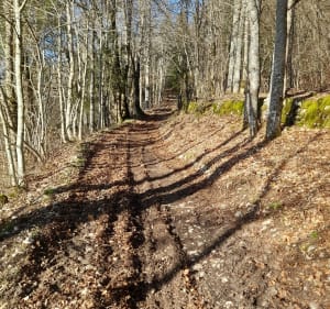 Le Val de Lans - Lans-en-Vercors - 3
