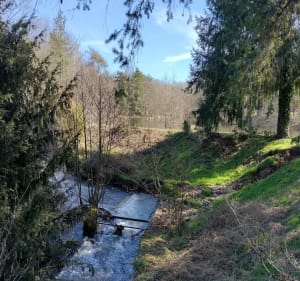 Circuit de l'Ecureuil - Feytiat - 3