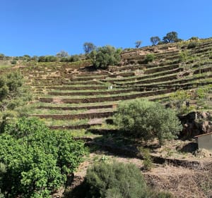 Magnifiques paysages sur les hauteurs de Port-Vendres - Port-Vendres - 3
