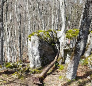 Sommet du Pieu - Saint-Paul-de-Varces - 3