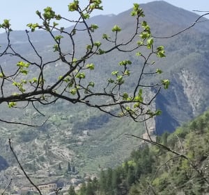De la garde de Puget-Théniers à la gare d'Entrevaux - Puget-Théniers - 4
