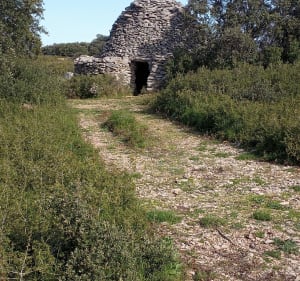 Plateau de la Fare-les-Oliviers - La Fare-les-Oliviers - 4