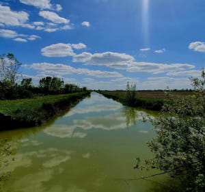 Sentier du Marais de Baude, par Tapecul - Montreuil - 3