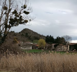Tour du bois de Serpanoux - Laps - 3