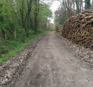 Férel, Herbignac, Férel - Férel - 3