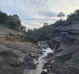 Les Canyons Gris de Quissac - Quissac - 3